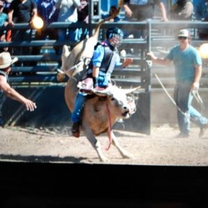 Meet your Posher, Levi